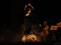 Leonor-Leal-con-Camerata-Flamenco-Proyect